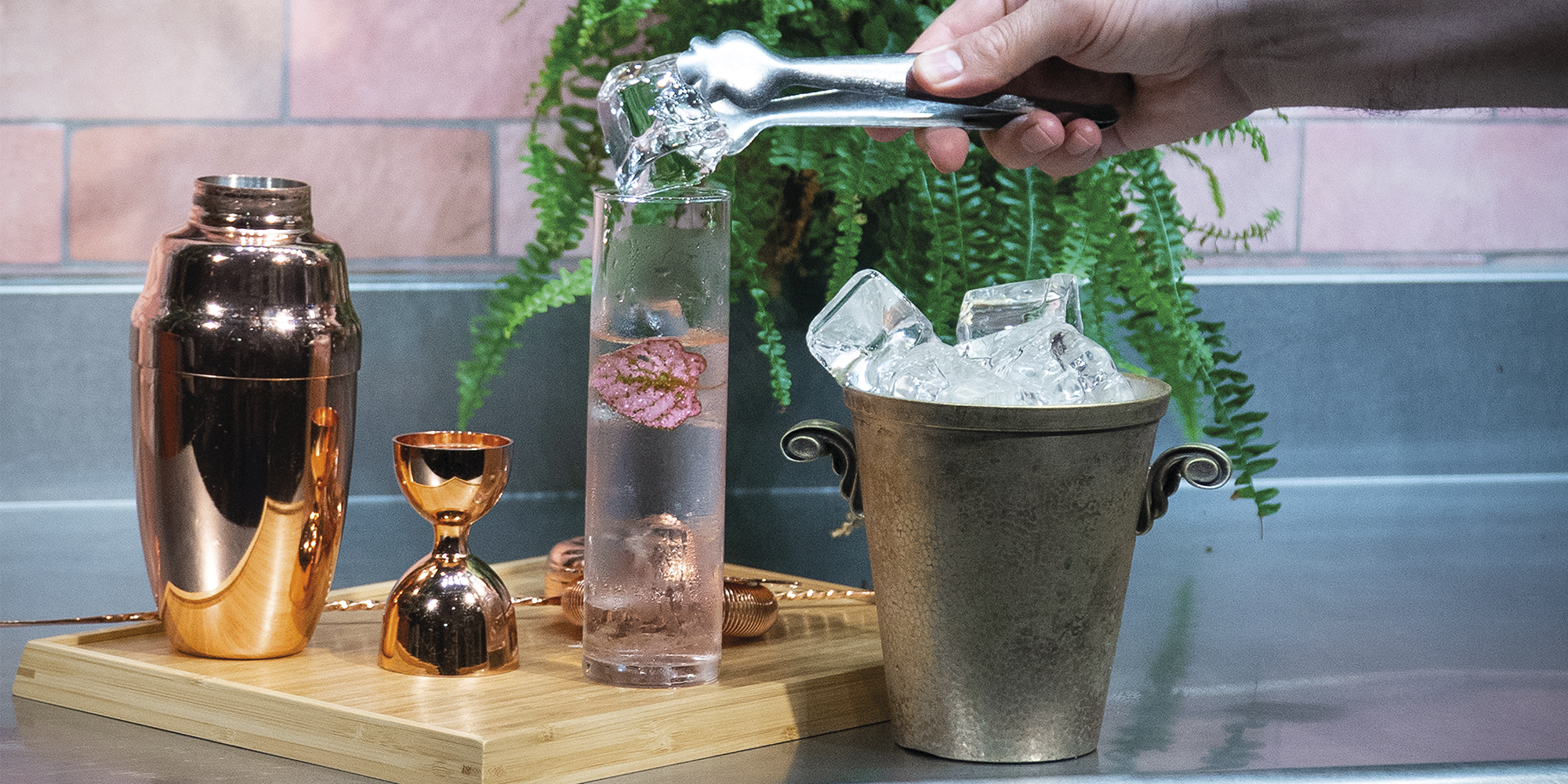 itv rentabilidad maquina de hielo ecofax suministros para hosteleria