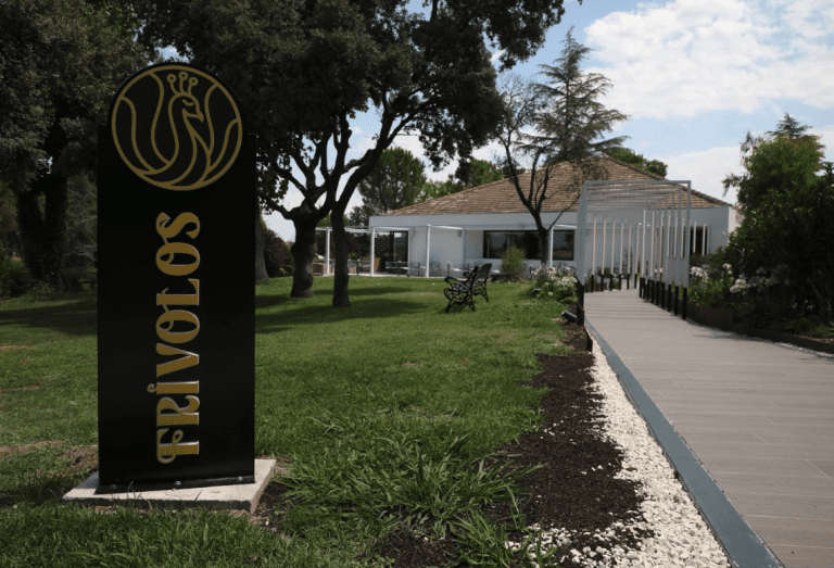 Screenshot 2025-07-04 at 13.38.56